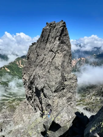 gallery-1344/image42