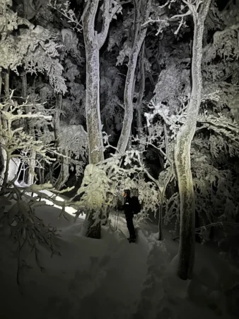 gallery-1344/image13