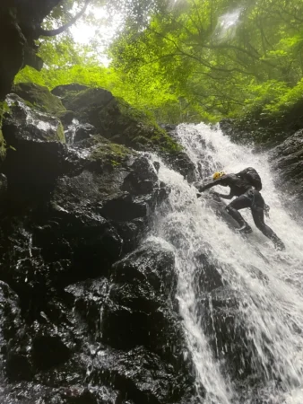 gallery-1344/image25