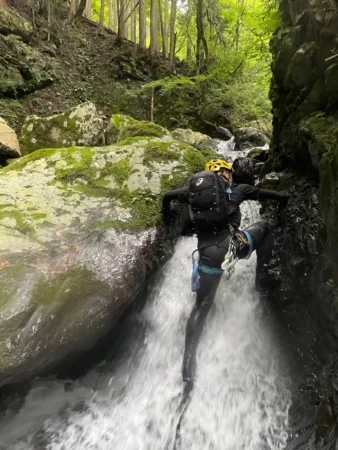 gallery-1344/image26