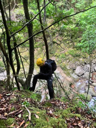 gallery-1344/image32