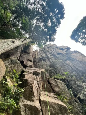 gallery-1344/image46