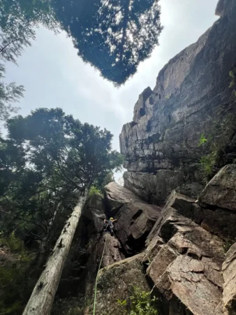 gallery-1344/image45